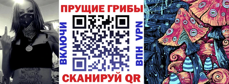 Галлюциногенные грибы прущие грибы Зуевка